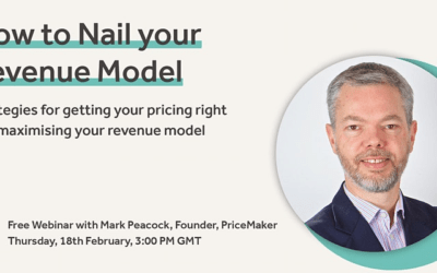 Pricing for investment: how to nail your revenue model.